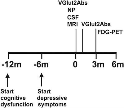 Case report: Mixed dementia associated with autoantibodies targeting the vesicular glutamate transporter 2